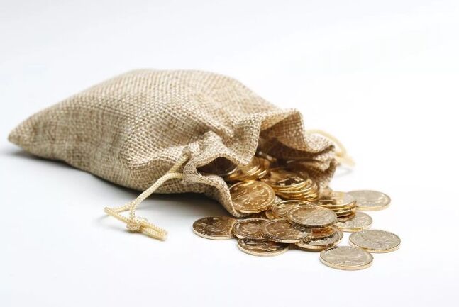 bolsa de dinero